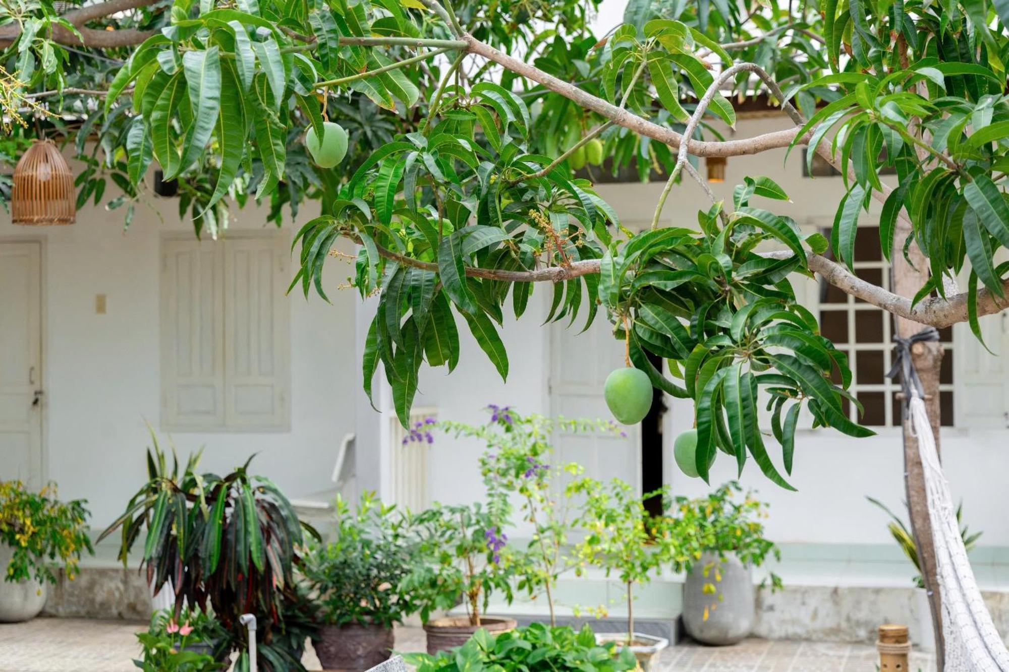 Binhyen Homestay Mũi Né Buitenkant foto